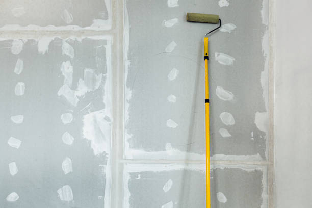 Reliable Putnam Lake, NY Mold Removal Solutions