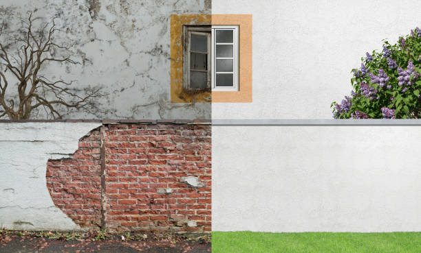 Best Attic Mold Removal  in Putnam Lake, NY