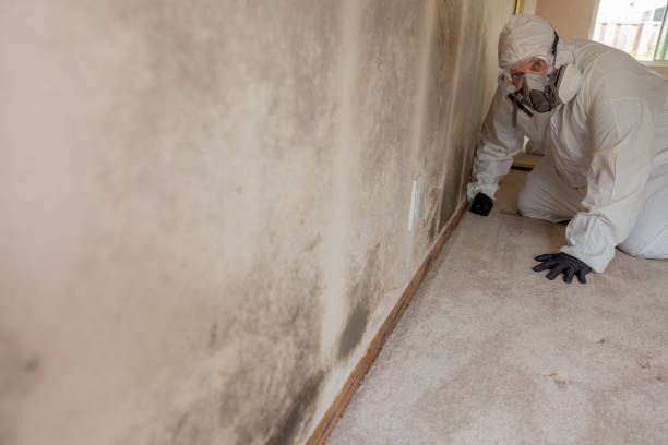 Best Mold Remediation for Healthcare Facilities  in Putnam Lake, NY